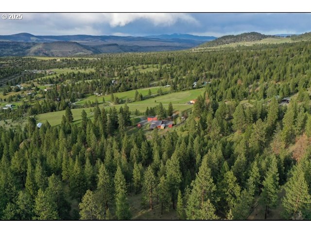 49988 Pine Haven Road Canyon City, OR 97820 - Photo 41 of 41