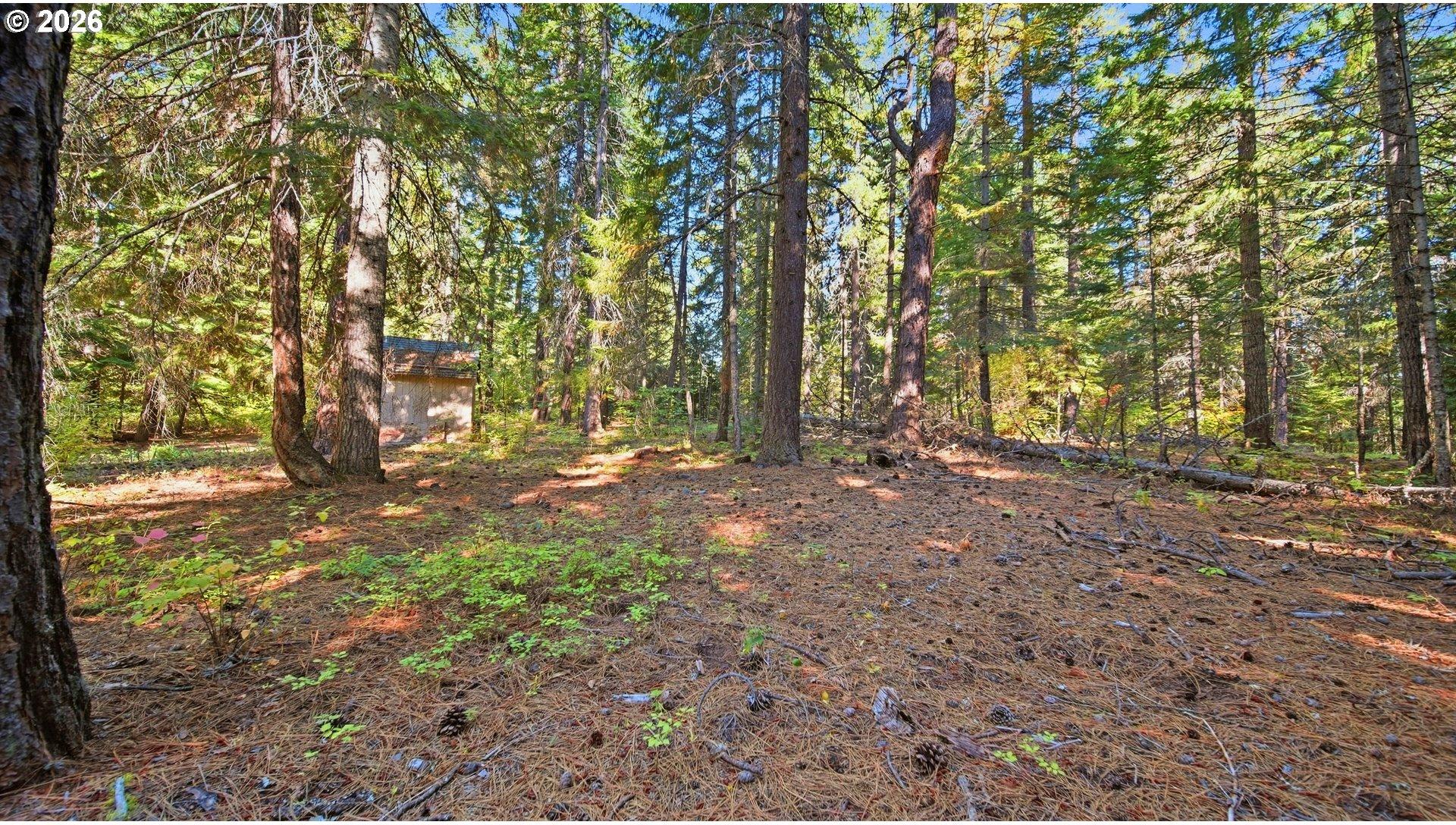 7 Mill Road Appleton, WA 98602 - Photo 11 of 15 Gallery Image 11