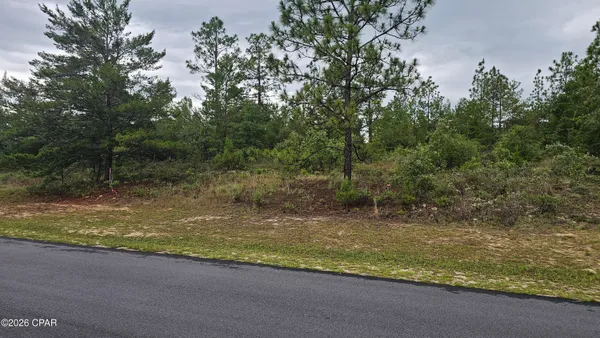 $16,900 | Lot 3 Deadening Road, Chipley, FL 32428
