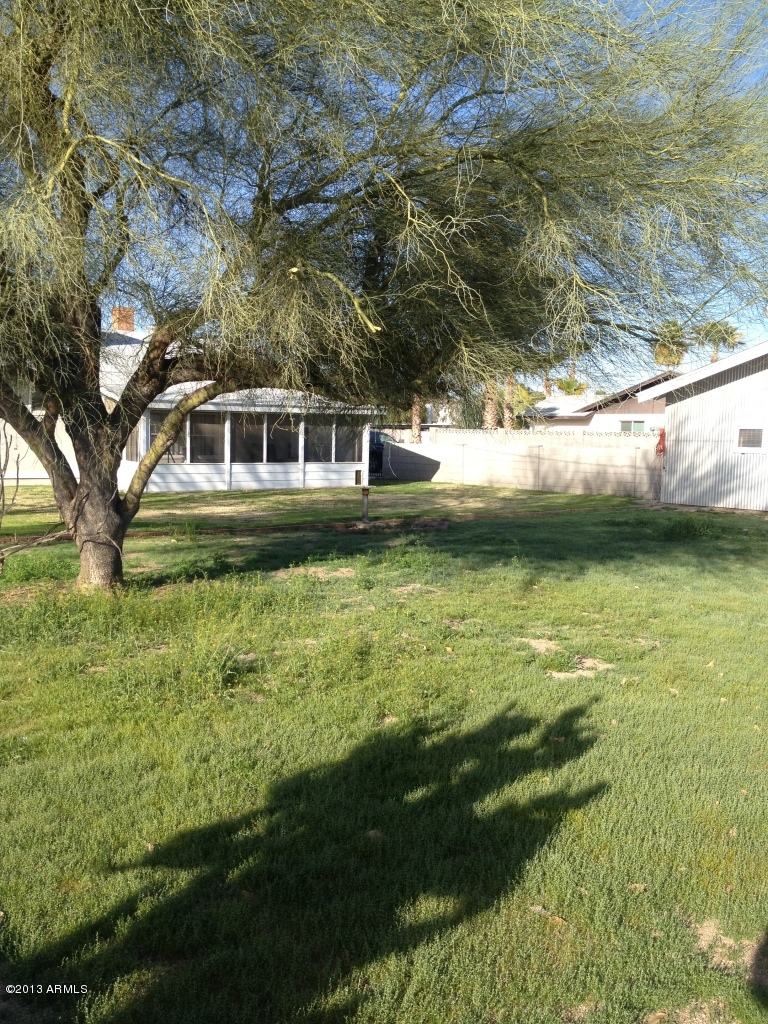 3111 East Charter Oak Road Phoenix, AZ 85032 - Photo 20 of 25 Backyard