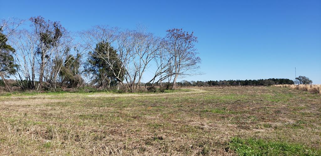 0 County Road 49 Slocomb, AL 36375 - Photo 1 of 6 Main View