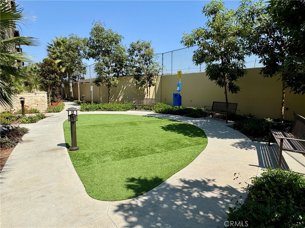 1632 Doheny Way Dana Point, CA 92629 - Photo 27 of 32 Dog Area