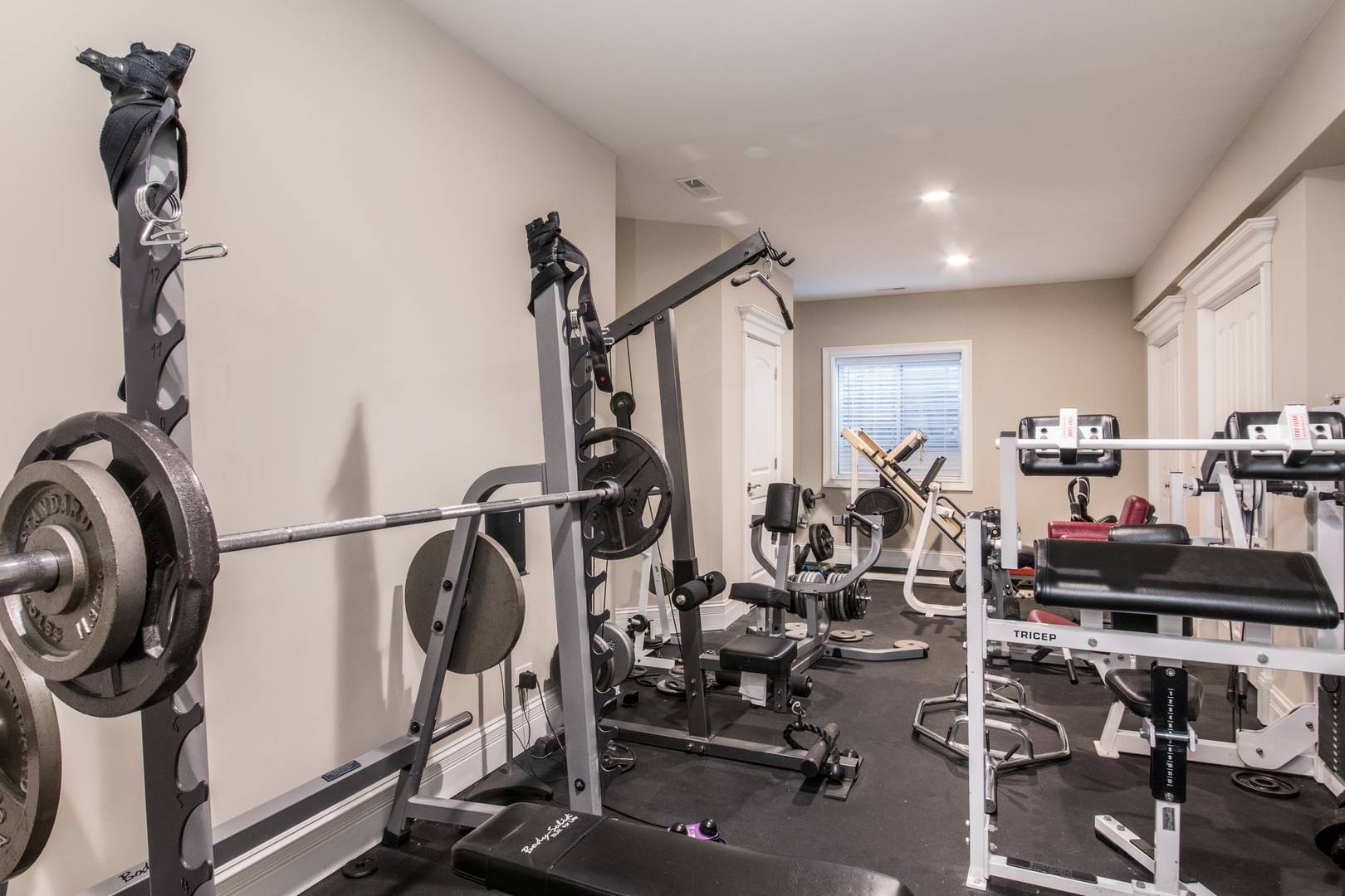 2360 Oak Tree Lane Park Ridge, IL 60068 - Photo 34 of 44 a view of a room with gym equipment