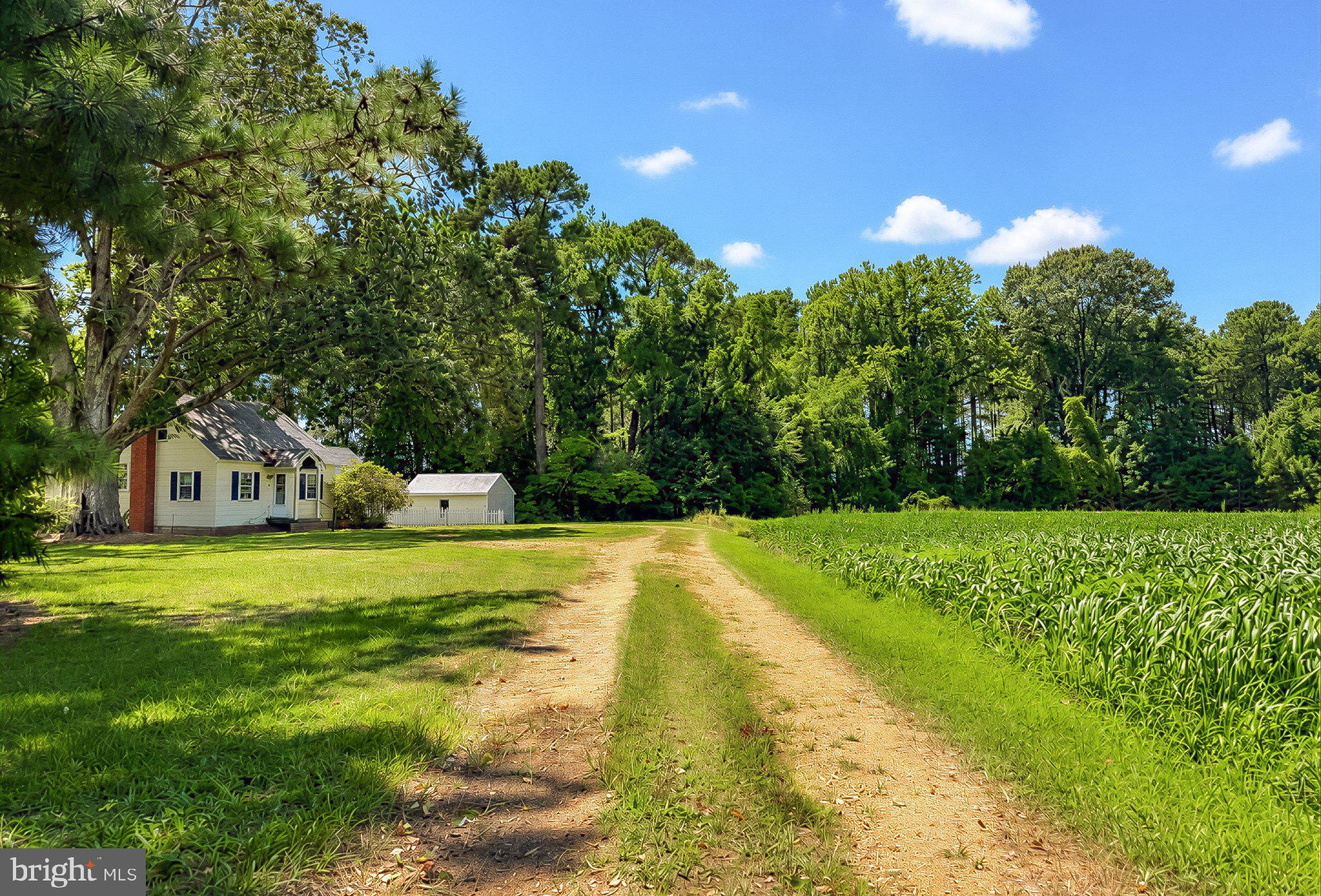 45776 Boothe Road Drayden, MD 20630 - Photo 77 of 94 Road to Cottage Three