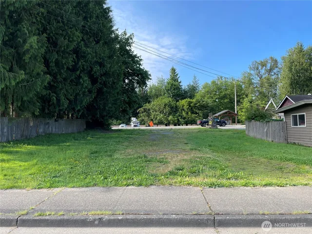 a view of a garden with a tree in the background