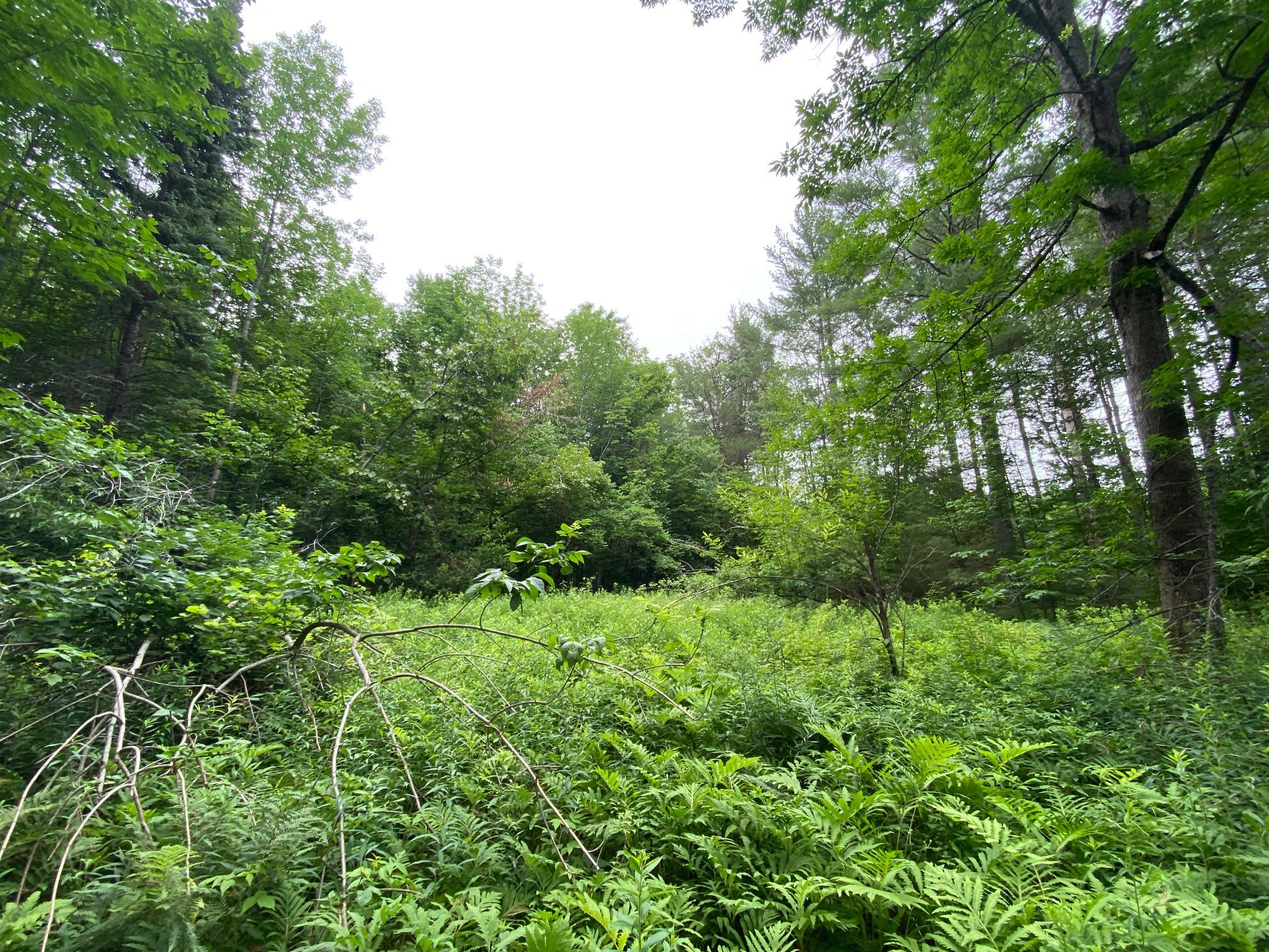 570 Center Road Garland, ME 04939 - Photo 4 of 9 5