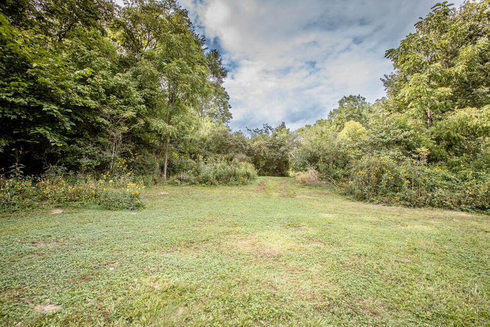 2060 Cedar Road Stamping Ground, KY 40379 - Photo 6 of 37 Secluded Area Of Yard