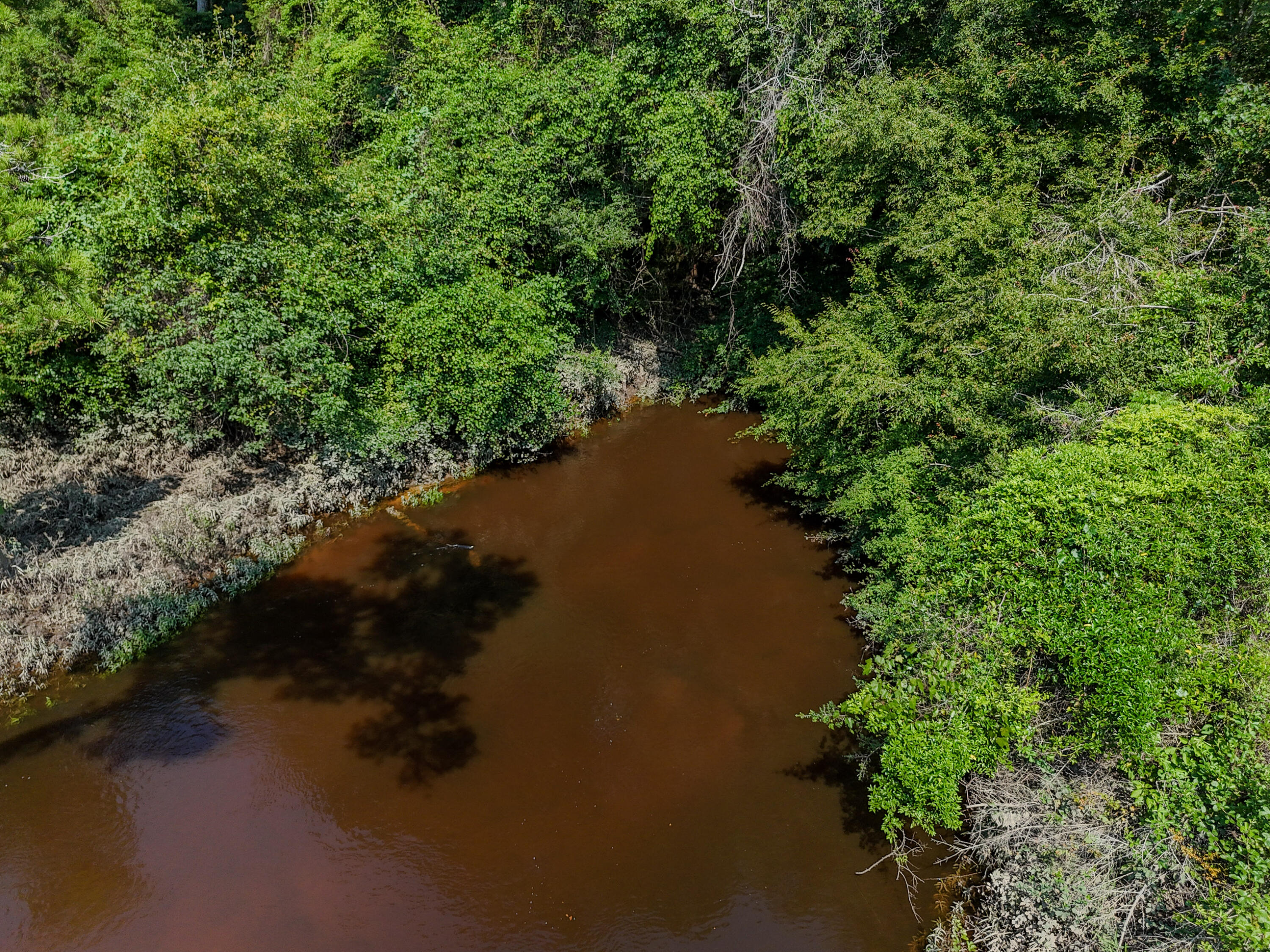 3128 County Road 10 Samson, AL 36477 - Photo 48 of 67 DJI_20260630231803_0041_D