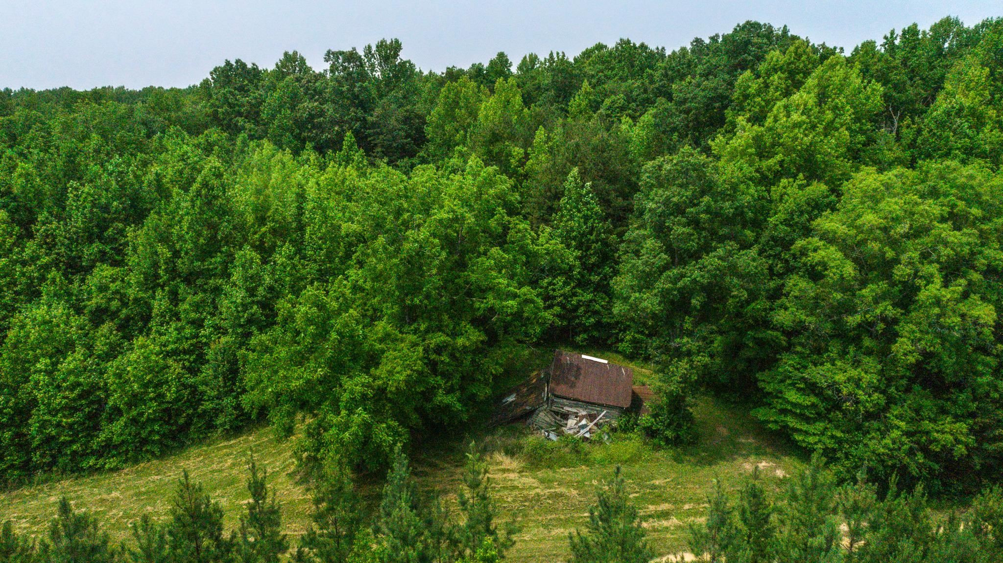 46-acres Durham Road Timberlake, NC 27583 - Photo 18 of 38 Photo 18