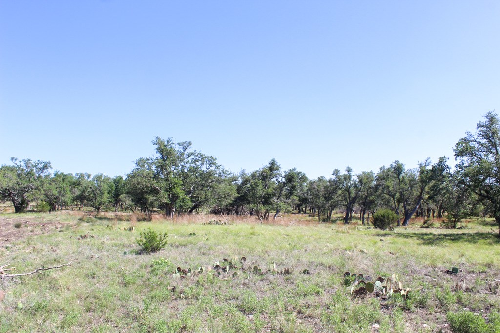 202 Apache Trace Northwest Harper, TX 78631 - Photo 3 of 4