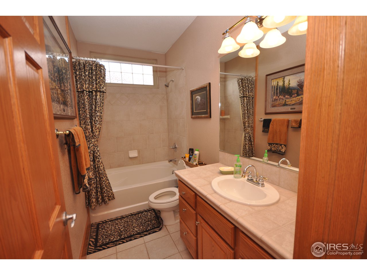 7717 Poudre River Road Greeley, CO 80634 - Photo 22 of 25 bathroom/basement