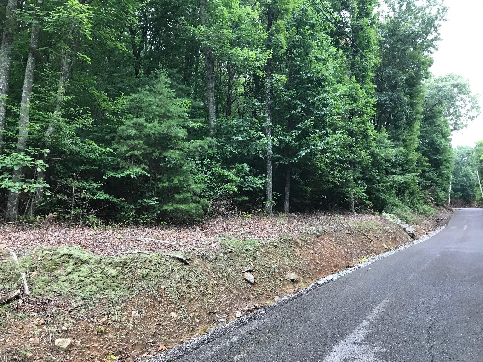 1 Smith Mountain Road Dunlap, TN 37327 - Photo 12 of 15 Gallery Image 12
