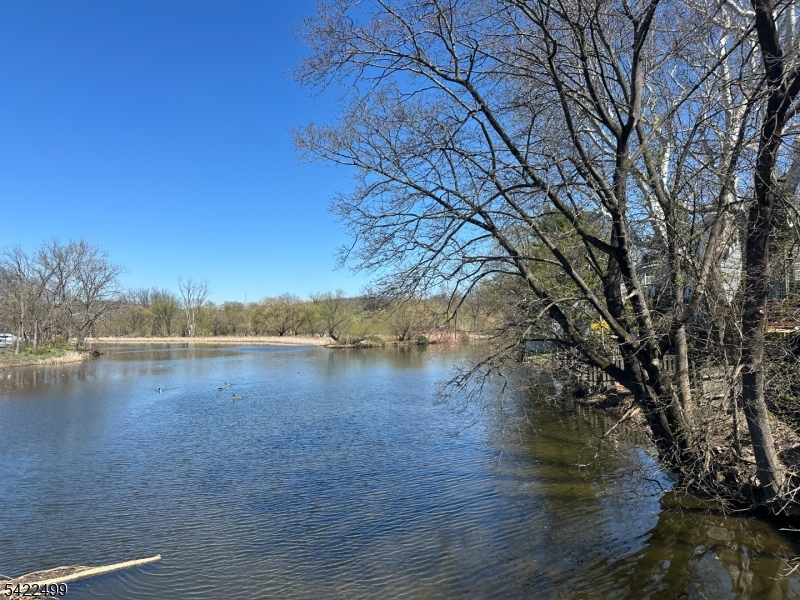 27 Center Street Clinton, NJ 08809 - Photo 12 of 13