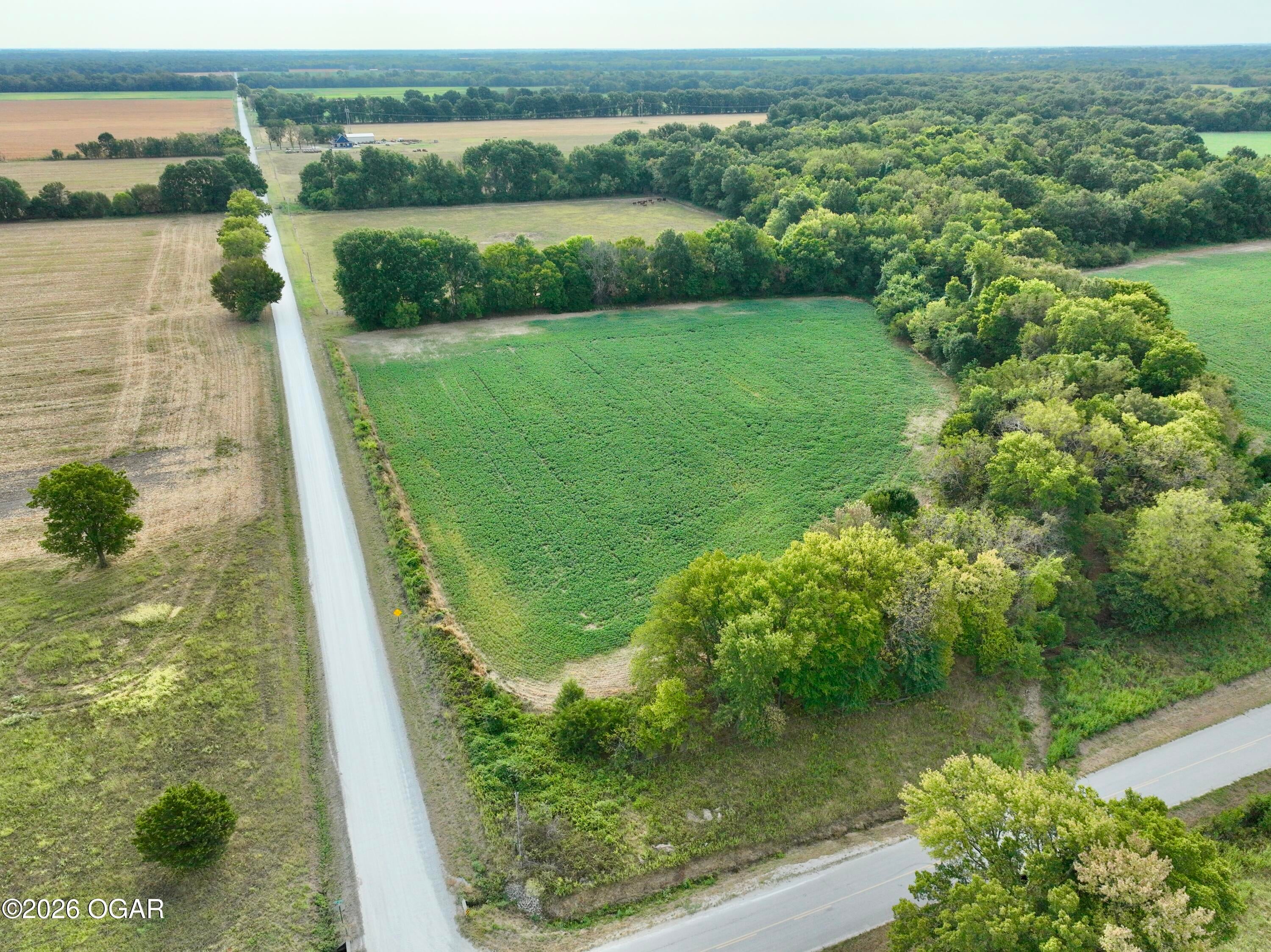 1 Oak Road Asbury, MO 64832 - Photo 10 of 39 Gallery Image 10