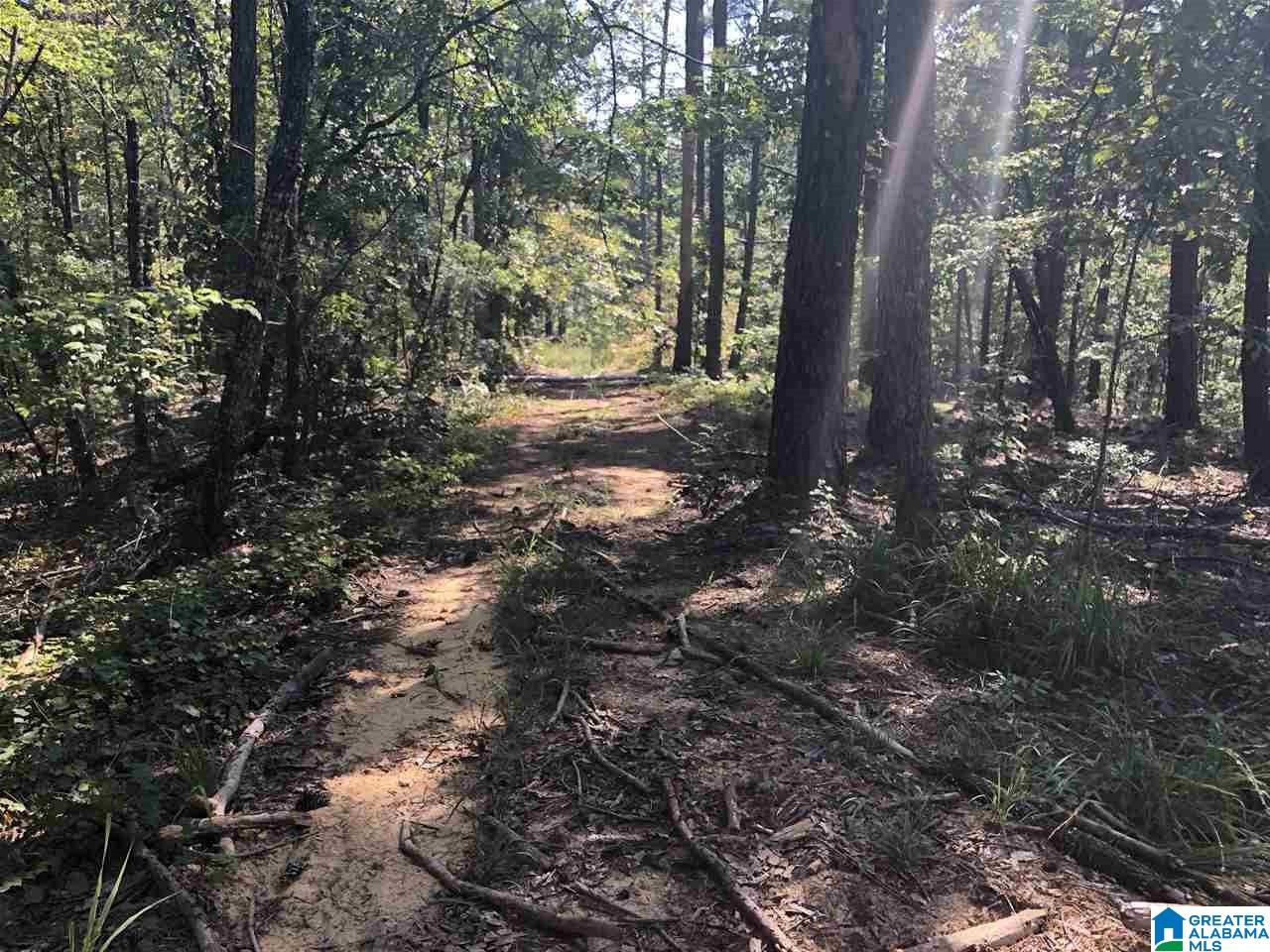 200-acres High Road, Unit 200 ACRES Pell City, AL 35128 - Photo 5 of 17