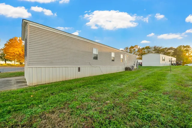 a view of a backyard with plants and large trees