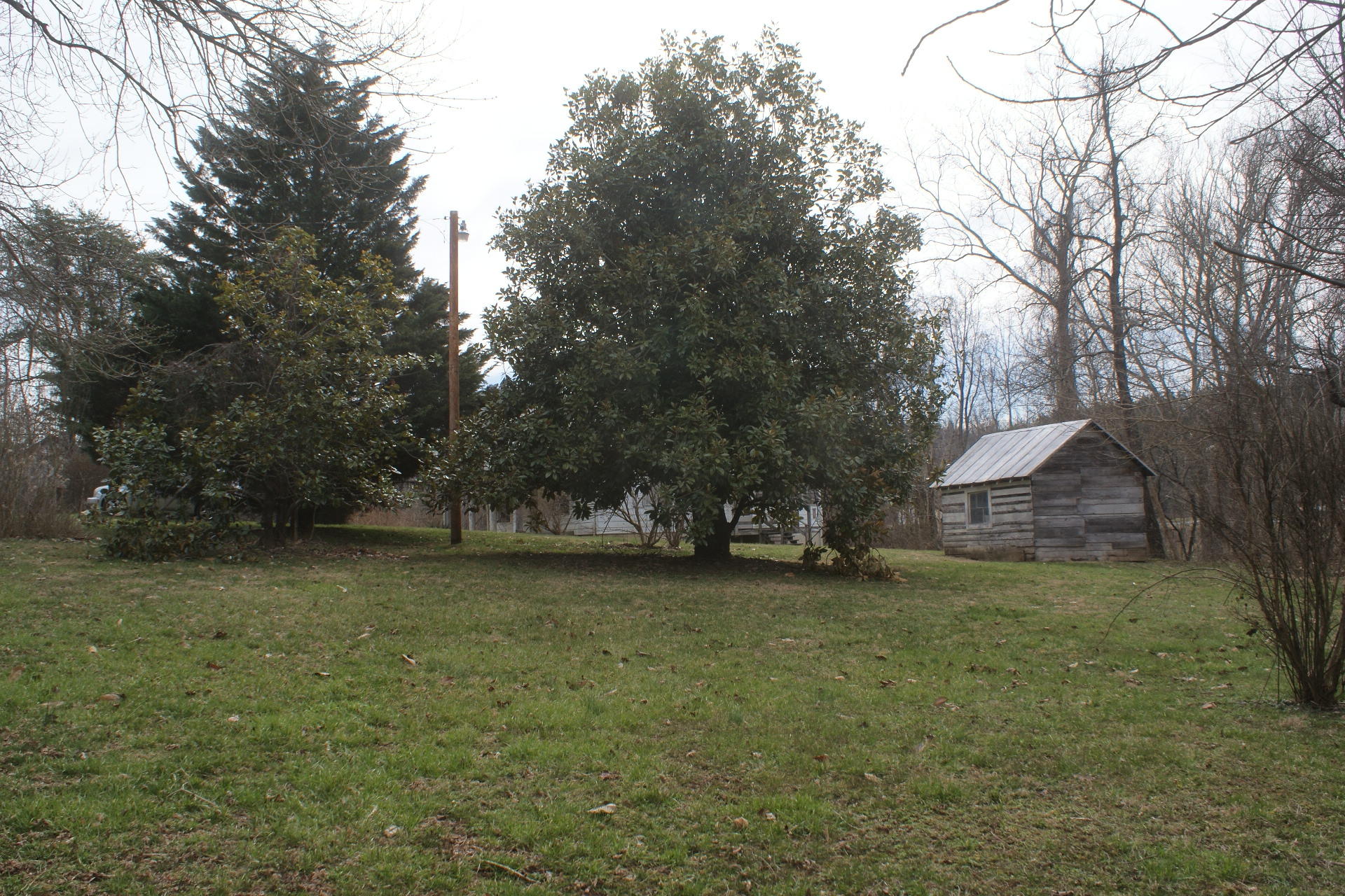 DSC05097