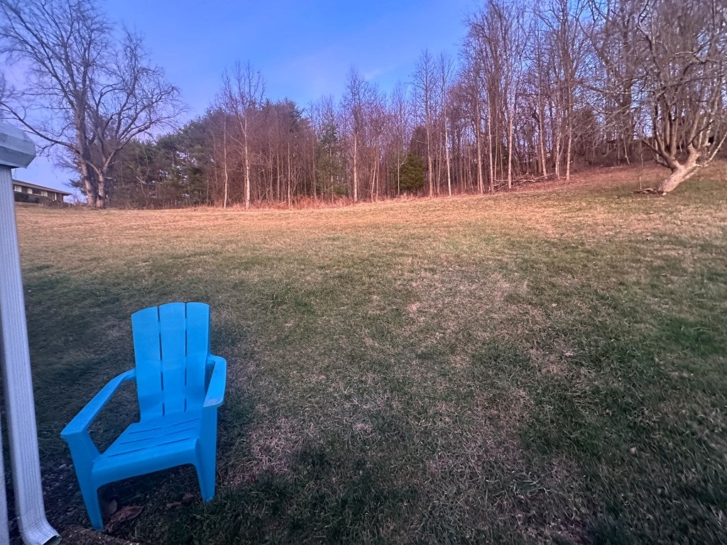 120 Stapleton Street Pounding Mill, VA 24637 - Photo 4 of 13 Gallery Image 4