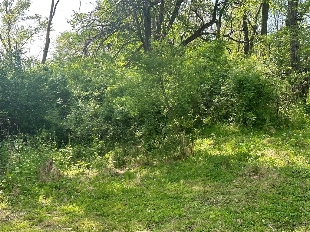 145 Center New Texas Road Pittsburgh, PA 15239 - Photo 5 of 8 a view of a lush green forest