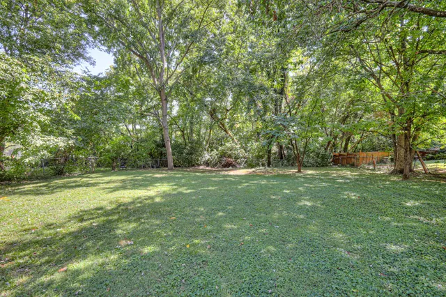 a view of a trees in a yard