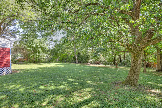 a view of a tree in front of a house