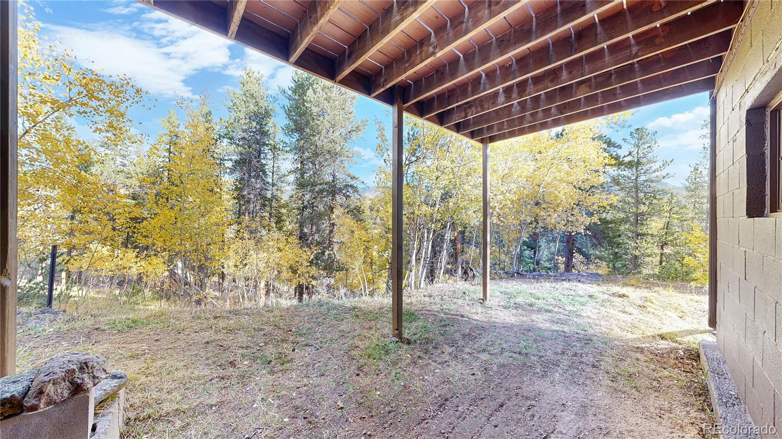 225 Renaud Road Bailey, CO 80421 - Photo 23 of 42