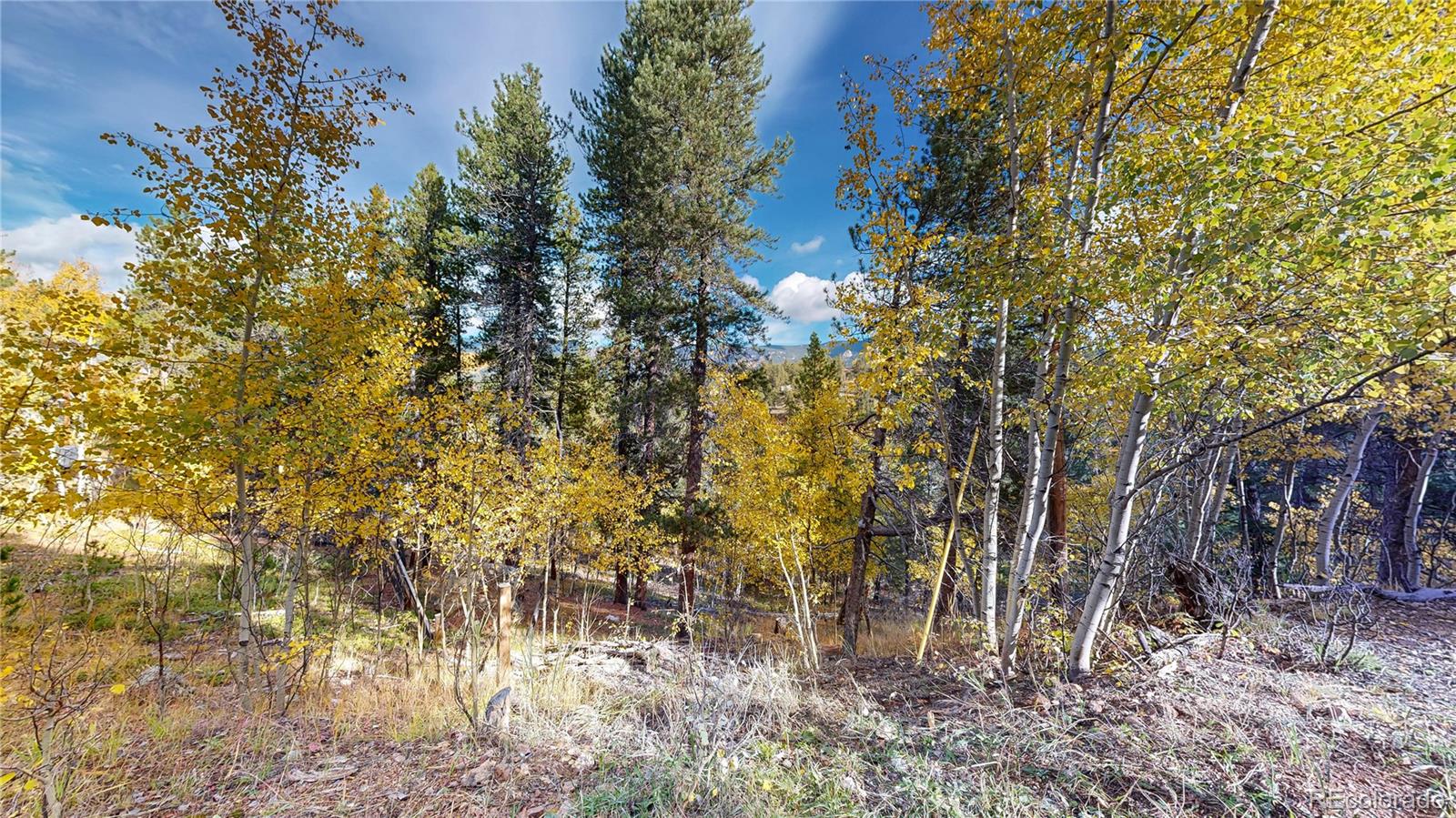 225 Renaud Road Bailey, CO 80421 - Photo 28 of 42