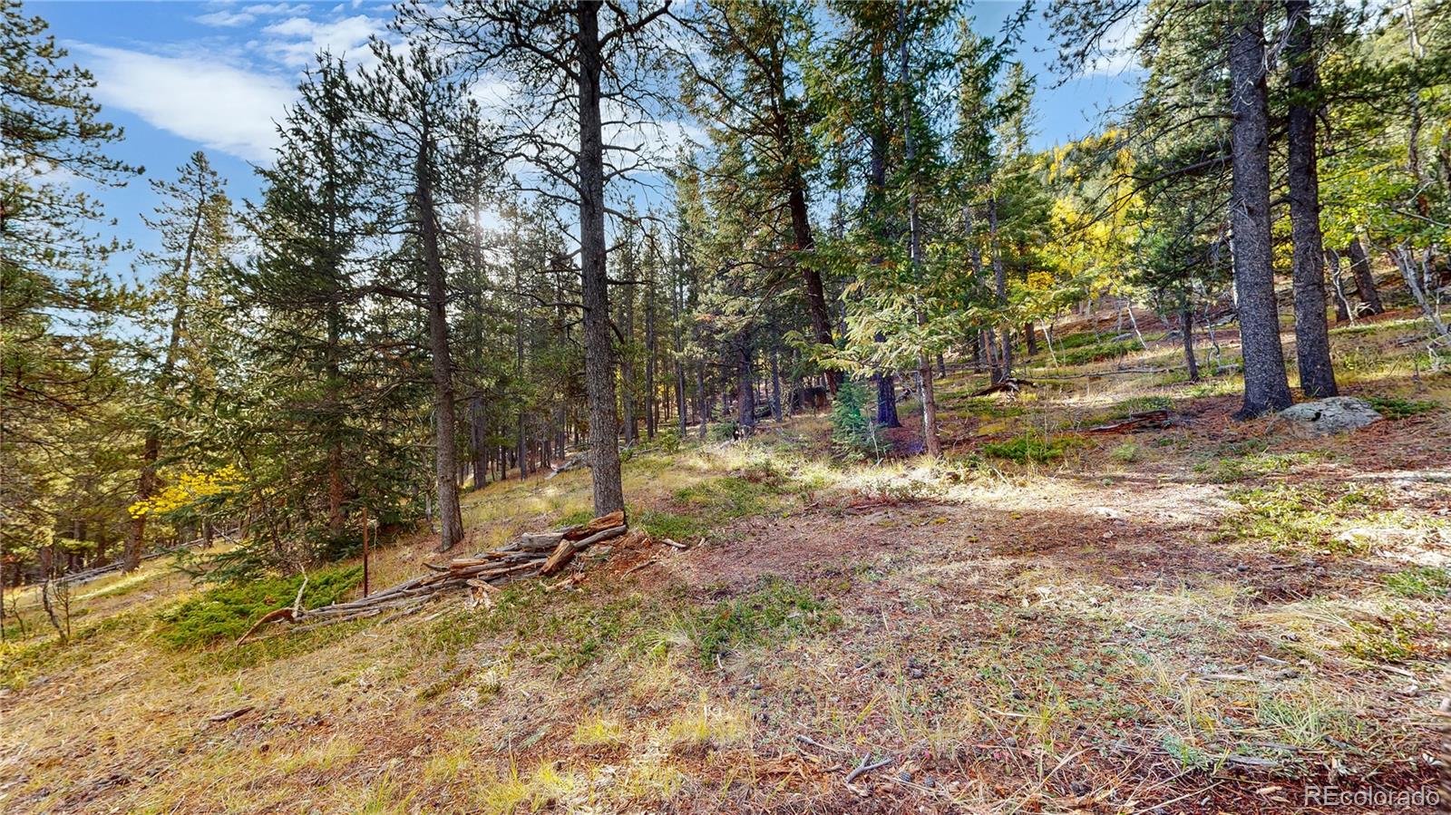225 Renaud Road Bailey, CO 80421 - Photo 31 of 42