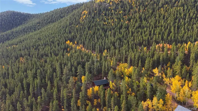 a bird view of a house