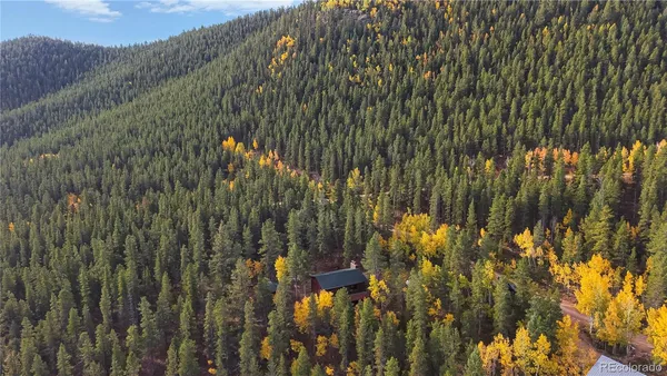 $435,000 | 225 Renaud Road, Bailey, CO 80421