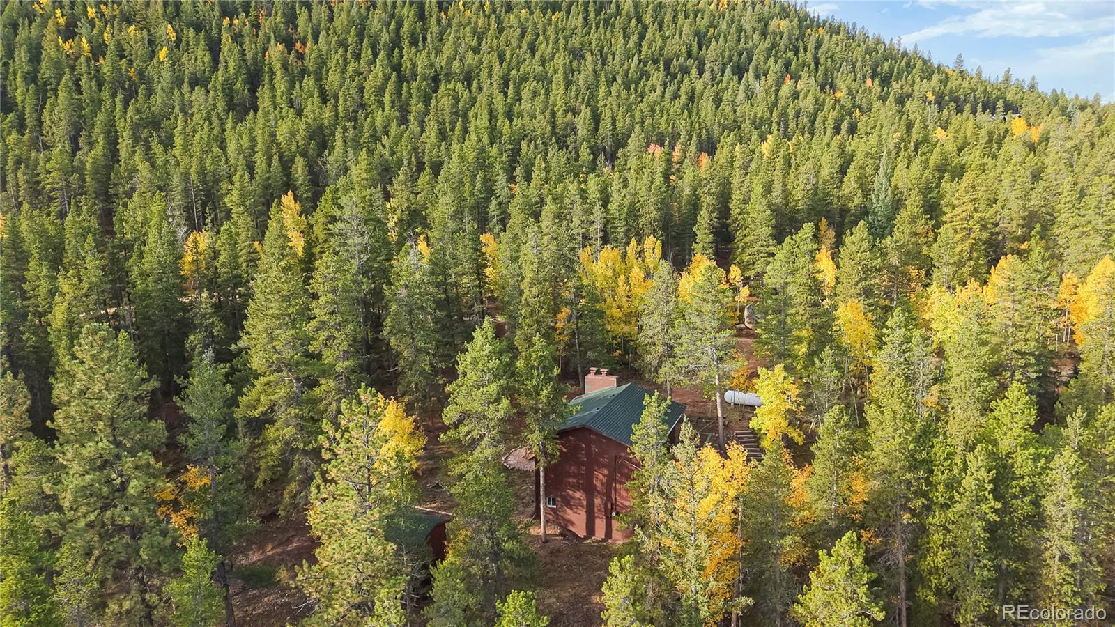 225 Renaud Road Bailey, CO 80421 - Photo 41 of 42