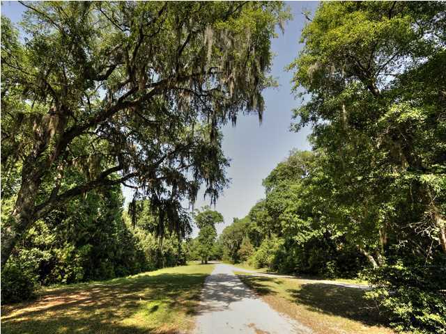 0 Edenforest Road Johns Island, SC 29455 - Photo 1 of 6 Primary Photo