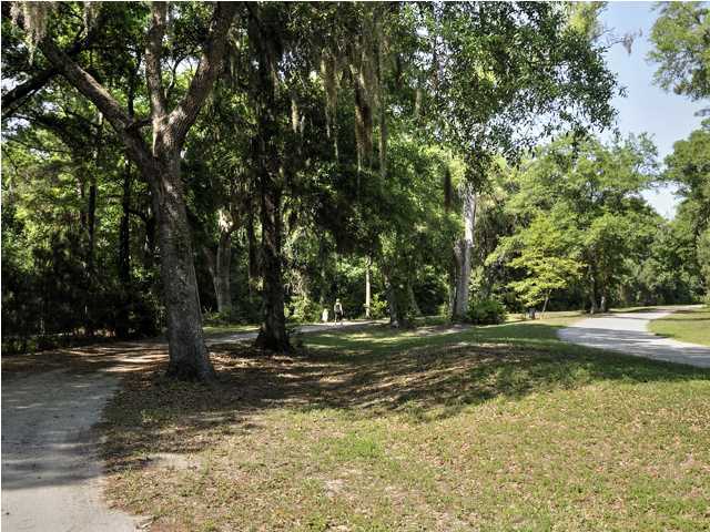 0 Edenforest Road Johns Island, SC 29455 - Photo 4 of 6 Additional Photo