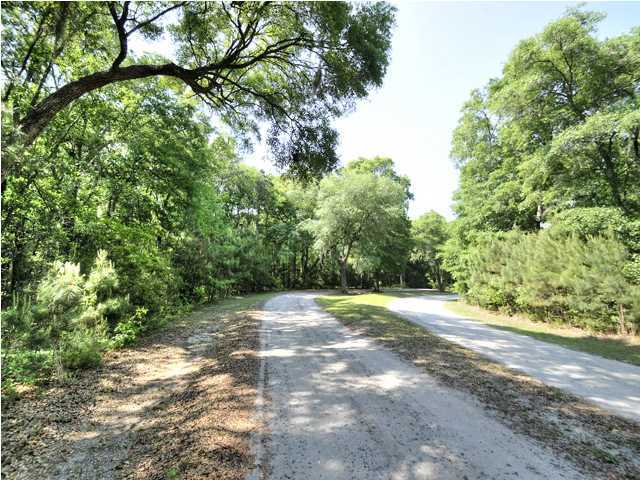 0 Edenforest Road Johns Island, SC 29455 - Photo 5 of 6 Additional Photo