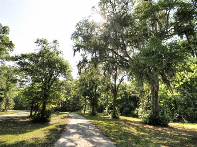 0 Edenforest Road Johns Island, SC 29455 - Photo 6 of 6 Additional Photo