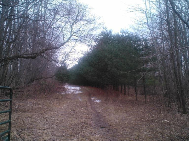 1 Calvin Center Road Cassopolis, MI 49031 - Photo 1 of 11 Primary Photo