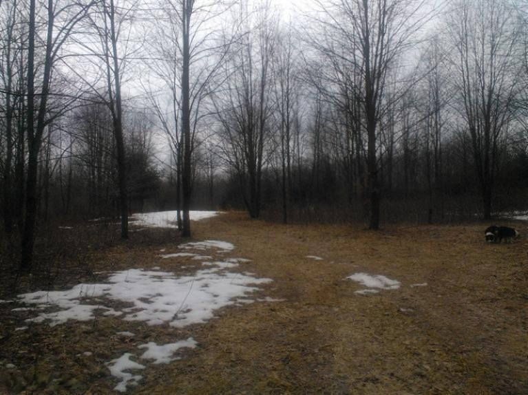 1 Calvin Center Road Cassopolis, MI 49031 - Photo 11 of 11 Additional Photo