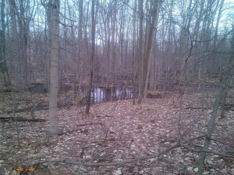 1 Calvin Center Road Cassopolis, MI 49031 - Photo 10 of 11 Additional Photo