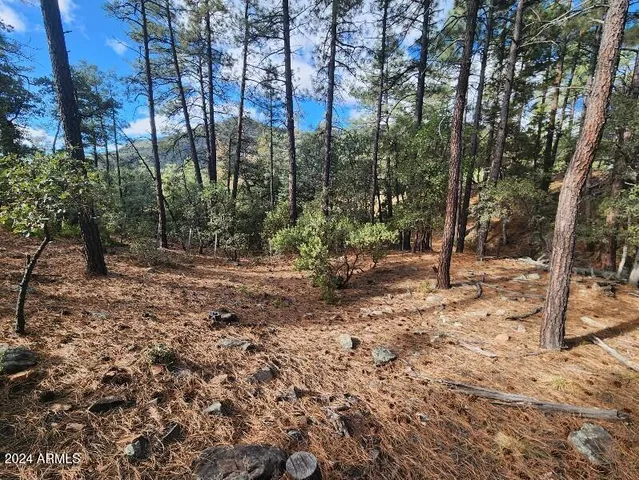 $79,995 | 0 North Sundown Lane, Unit 104, Pine, AZ 85544
