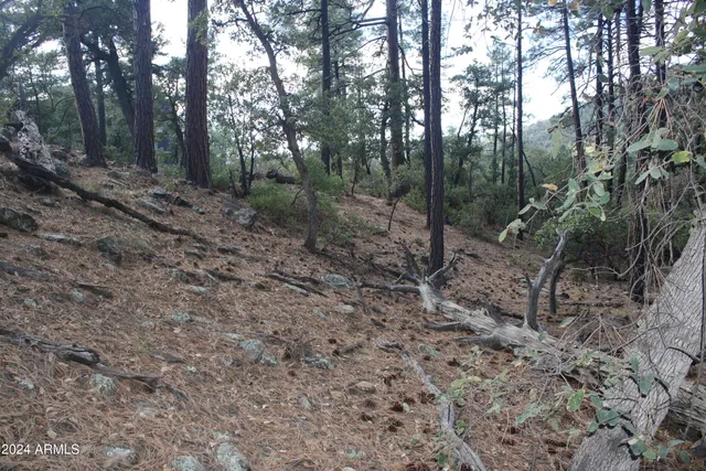 $79,995 | 0 North Sundown Lane, Unit 104, Pine, AZ 85544