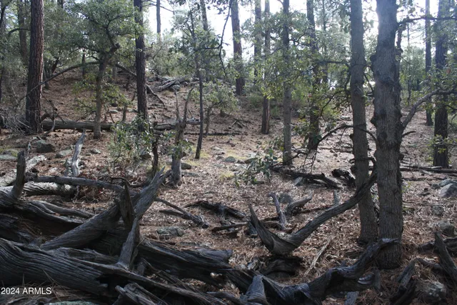 $79,995 | 0 North Sundown Lane, Unit 104, Pine, AZ 85544