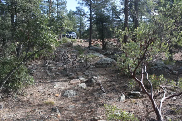 $79,995 | 0 North Sundown Lane, Unit 104, Pine, AZ 85544