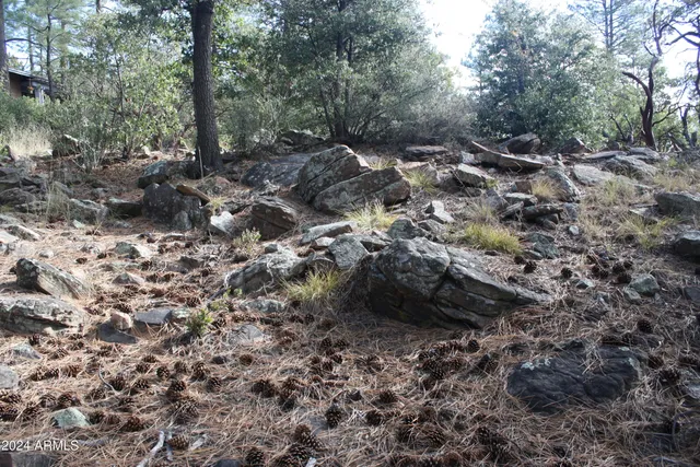 $79,995 | 0 North Sundown Lane, Unit 104, Pine, AZ 85544