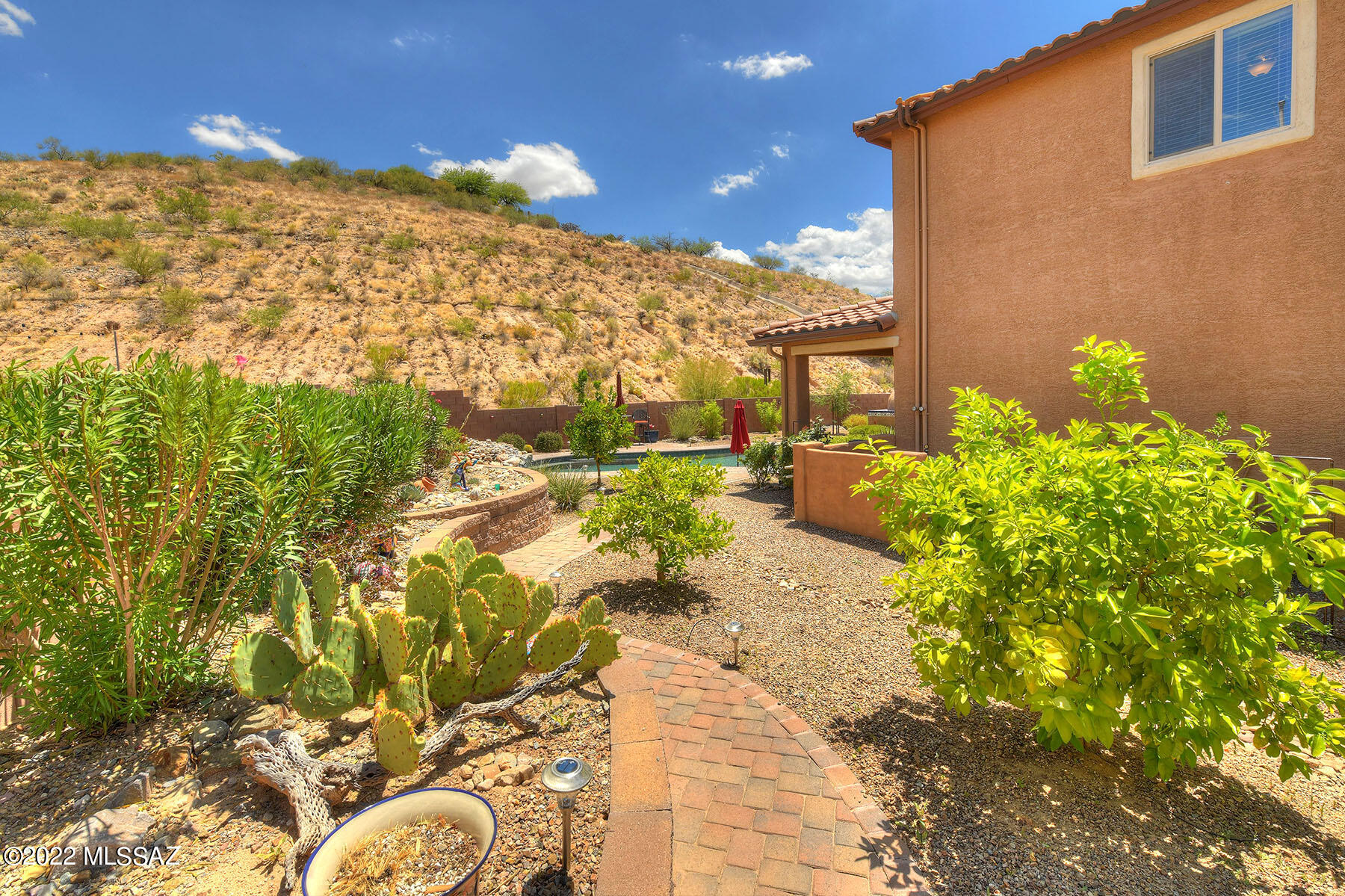 38855 South Running Roses Lane Saddlebrooke, AZ 85739 - Photo 27 of 29