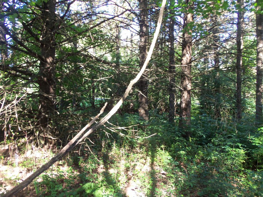 Lot 4 Pike Lake Road Webster, WI 54893 - Photo 1 of 1
