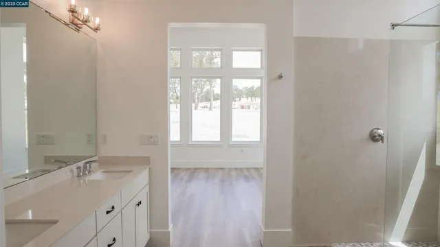a bathroom with a sink a mirror and a shower