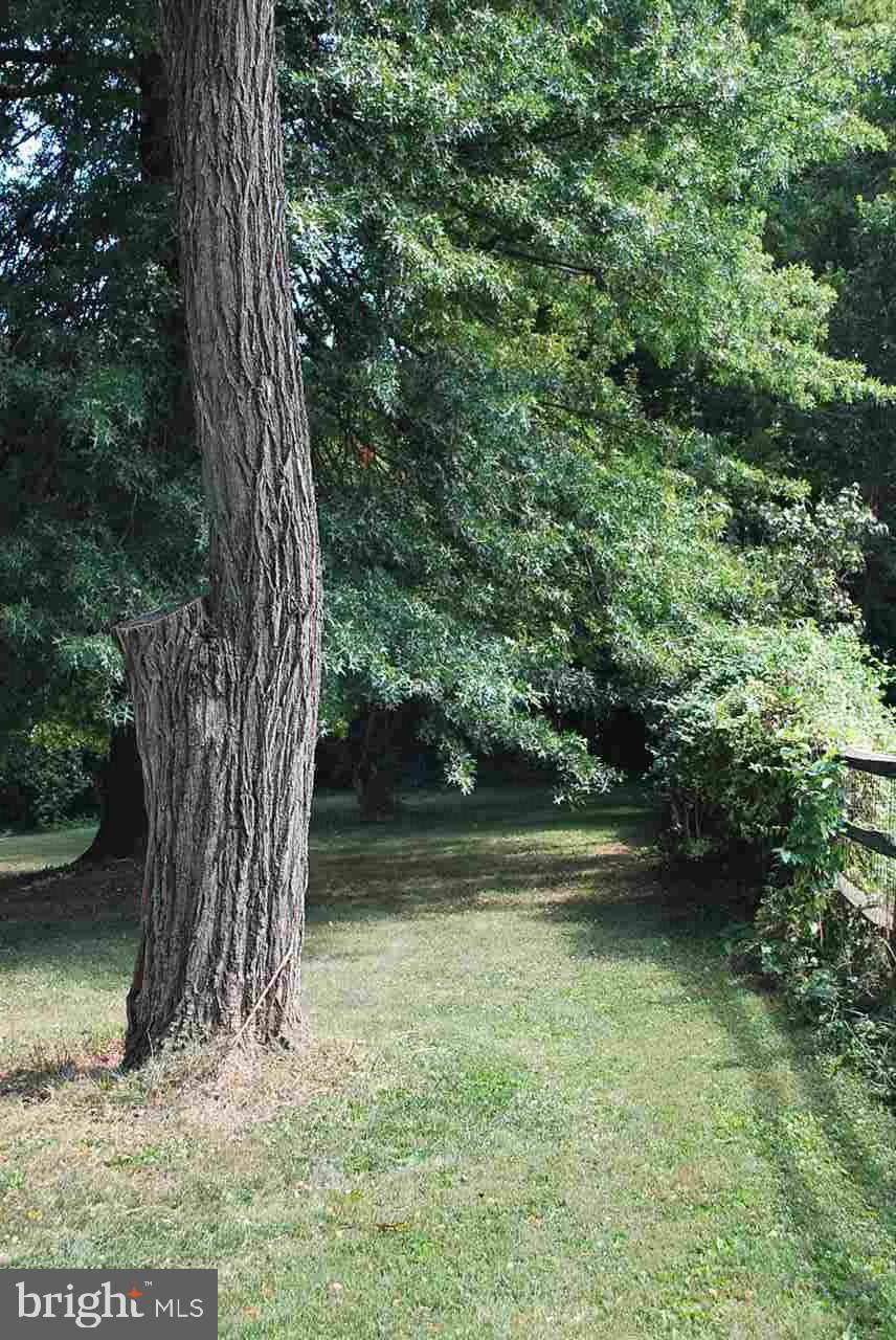 11 Hilltop Road Boiling Springs, PA 17007 - Photo 5 of 23 Gallery Image 5