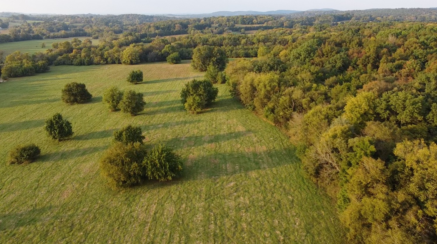 0 Poplar Hill Road Watertown, TN 37184 - Photo 4 of 13 a view of a lake with a mountain in the background