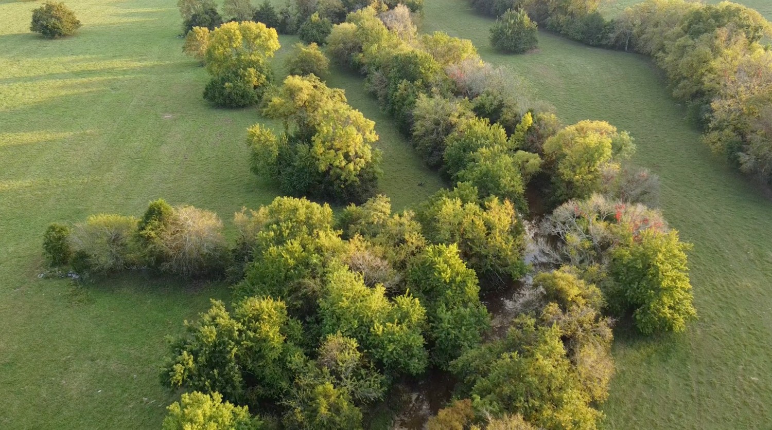 0 Poplar Hill Road Watertown, TN 37184 - Photo 5 of 13 a backyard of a house with lots of green space