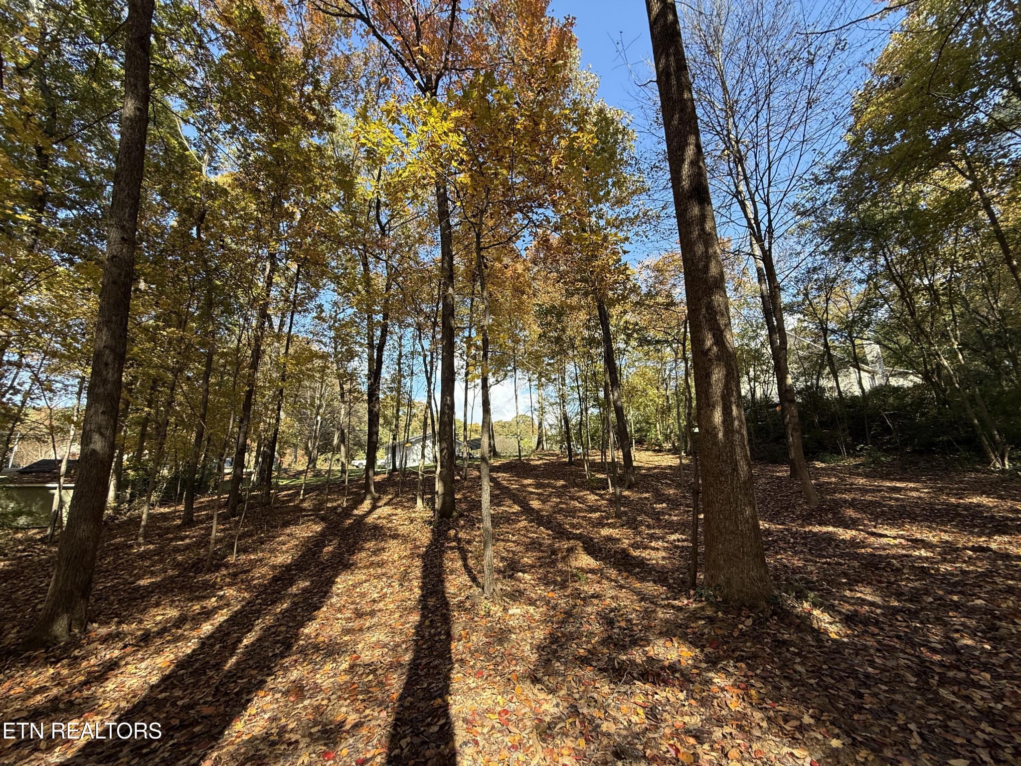 5320 Cain Road Knoxville, TN 37921 - Photo 5 of 33 Gallery Image 5